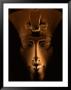 Akhenaten Statue, Pharaohs Of The Sun, Luxor Museum, Amarna, Egypt by Kenneth Garrett Limited Edition Pricing Art Print