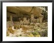 Cliff Palace, Mesa Verde National Park, Unesco World Heritage Site, Colorado, Usa by Ethel Davies Limited Edition Print