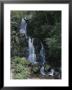 A Narrow Waterfall Braiding Through The Trees by George F. Mobley Limited Edition Pricing Art Print