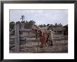 A Saddle Is Left Behind By Some Ranchers In The Nebraska Sandhills by Joel Sartore Limited Edition Print