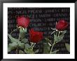 Roses Glow Against The Black Granite Of The Vietnam Veterans Memorial by Karen Kasmauski Limited Edition Print