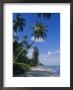 Palm Trees, Beach, Thailand by Jacob Halaska Limited Edition Print