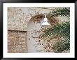 Old Brick Wall With Palm Trees, Key West, Florida Keys, Florida, Usa by Terry Eggers Limited Edition Print
