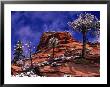 Zion National Park In The Snow, Utah by Russell Burden Limited Edition Pricing Art Print