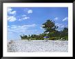 Beach On Sanibel Island, Florida, Usa by Charles Sleicher Limited Edition Print