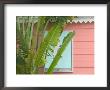 Palm And Pineapple Shutters Detail, Great Abaco Island, Bahamas by Walter Bibikow Limited Edition Print