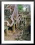 Ta Prohm, Angkor, Cambodia by Bruno Morandi Limited Edition Print