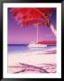 Catamaran On The Caribbean Shore by Jim Mcguire Limited Edition Print