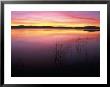 Sunrise On Klamath Lake Wild Refuge, Ca by Kyle Krause Limited Edition Print