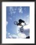 Silhouette Of Cyclist Leaping Through The Air by Ted Wilcox Limited Edition Print