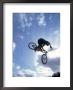 Silhouette Of Cyclist Leaping Through The Air by Ted Wilcox Limited Edition Pricing Art Print