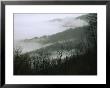 Fog In The Valley Near Fishers Gap, Along Skyline Drive by Raymond Gehman Limited Edition Print