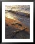 Broken Logs, Lake Scenes by Keith Levit Limited Edition Print