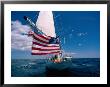 The Sailboat Mickey Finn Takes Off by Heather Perry Limited Edition Print