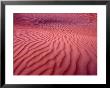 Dubai Desert Dunes At Dusk, Al Maha Desert Resort, Dubai, United Arab Emirates by Holger Leue Limited Edition Print