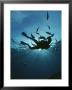 Fish Swim Around A Diver by Raul Touzon Limited Edition Pricing Art Print