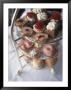 High Tea In Stanley Park, Vancouver, British Columbia, Canada by Connie Ricca Limited Edition Print