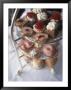 High Tea In Stanley Park, Vancouver, British Columbia, Canada by Connie Ricca Limited Edition Pricing Art Print