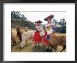Portrait Of Two Peruvian Girls In Traditional Dress, With Their Animals, Near Cuzco, Peru by Gavin Hellier Limited Edition Print