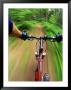 Mountain Bike Trail Riding by Chuck Haney Limited Edition Pricing Art Print