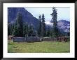 Log Cabin, Horse And Corral, Banff National Park, Alberta, Canada by Janis Miglavs Limited Edition Print