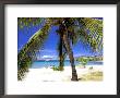 Qualie Beach, Nevis, Caribbean by Nik Wheeler Limited Edition Print