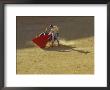 Matador And Bull, Andalucia, Spain by John & Lisa Merrill Limited Edition Print