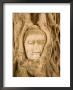 Buddha In Tree Ruts At Ayuthaya, Siam, Thailand by Gavriel Jecan Limited Edition Print