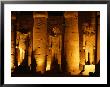 Luxor Temple Statues And Pillars At Night, Luxor, Egypt by Greg Elms Limited Edition Pricing Art Print