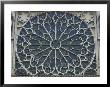 South Rose Window Of Notre-Dame, Paris, France by Lisa S. Engelbrecht Limited Edition Pricing Art Print