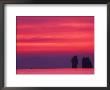 Pink Sky Reflected In Sea With Karst Islands, Phang Nga Bay, Thailand by John & Lisa Merrill Limited Edition Pricing Art Print