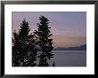 Twilit View Of Silhouetted Evergreen Trees Above Flathead Lake by Annie Griffiths Belt Limited Edition Pricing Art Print