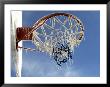 Ice Formed On A Basketball Net by Dennis Macdonald Limited Edition Print
