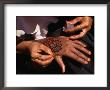 Arabic Swahili Henna Design Being Made, Lamu, Kenya by Ariadne Van Zandbergen Limited Edition Pricing Art Print