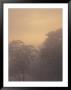 A Misty Moonscape by Roy Toft Limited Edition Pricing Art Print