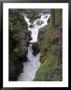 Rogue River, Rogue River National Forest by Frank Siteman Limited Edition Print