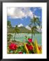 Diamond Head Crater, Waikiki Beach, Hi by Tomas Del Amo Limited Edition Print