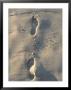 Footprints In Sand, Australia by Jacob Halaska Limited Edition Print