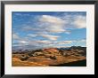 North Otago Landscape, South Island, New Zealand by David Wall Limited Edition Print