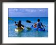 Man And Woman Kayaking On Fernandez Bay, Cat Island, Bahamas by Greg Johnston Limited Edition Print