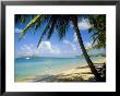 Reduit Beach, St. Lucia, West Indies by John Miller Limited Edition Print