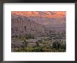 View From Bombed Out Window Of Defense Ministry, National Museum Of Afghanistan, Kabul, Afghanistan by Kenneth Garrett Limited Edition Pricing Art Print