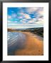 Cannibal Bay, Catlins, New Zealand by David Wall Limited Edition Print