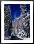 Winter Road And El Capitan, Yosemite Valley, California, Usa by Thomas Winz Limited Edition Print