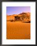 Sand Dune Landscape, Sossusvlei, Namibia World Heritage Site, Namib-Naukluft National Park, Namibia by Michele Westmorland Limited Edition Print