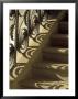 Wrought Iron Shadows, Charleston, South Carolina, Usa by Julie Eggers Limited Edition Print