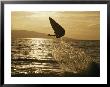 An Airborne Skimboarder Is Silhouetted At Twilight by Skip Brown Limited Edition Pricing Art Print