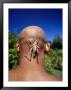 Grasshopper On Bald Man's Head by Peter Langone Limited Edition Print