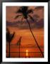 Sunset, Lee County, Fl by Jeff Greenberg Limited Edition Print