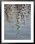 An Abstract Reflection Of The Washington Monument On The Rippled Surface Of The Tidal Basin by Stephen St. John Limited Edition Print